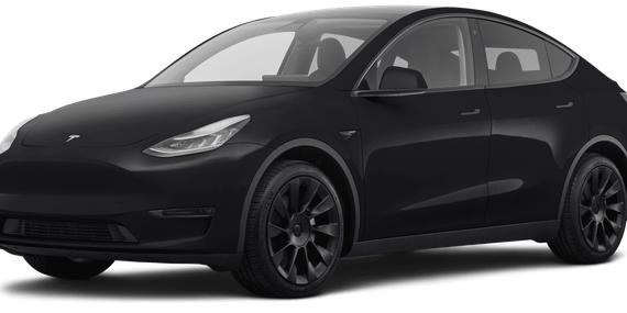 TESLA MODEL Y 2021 5YJYGDEE0MF181196 image